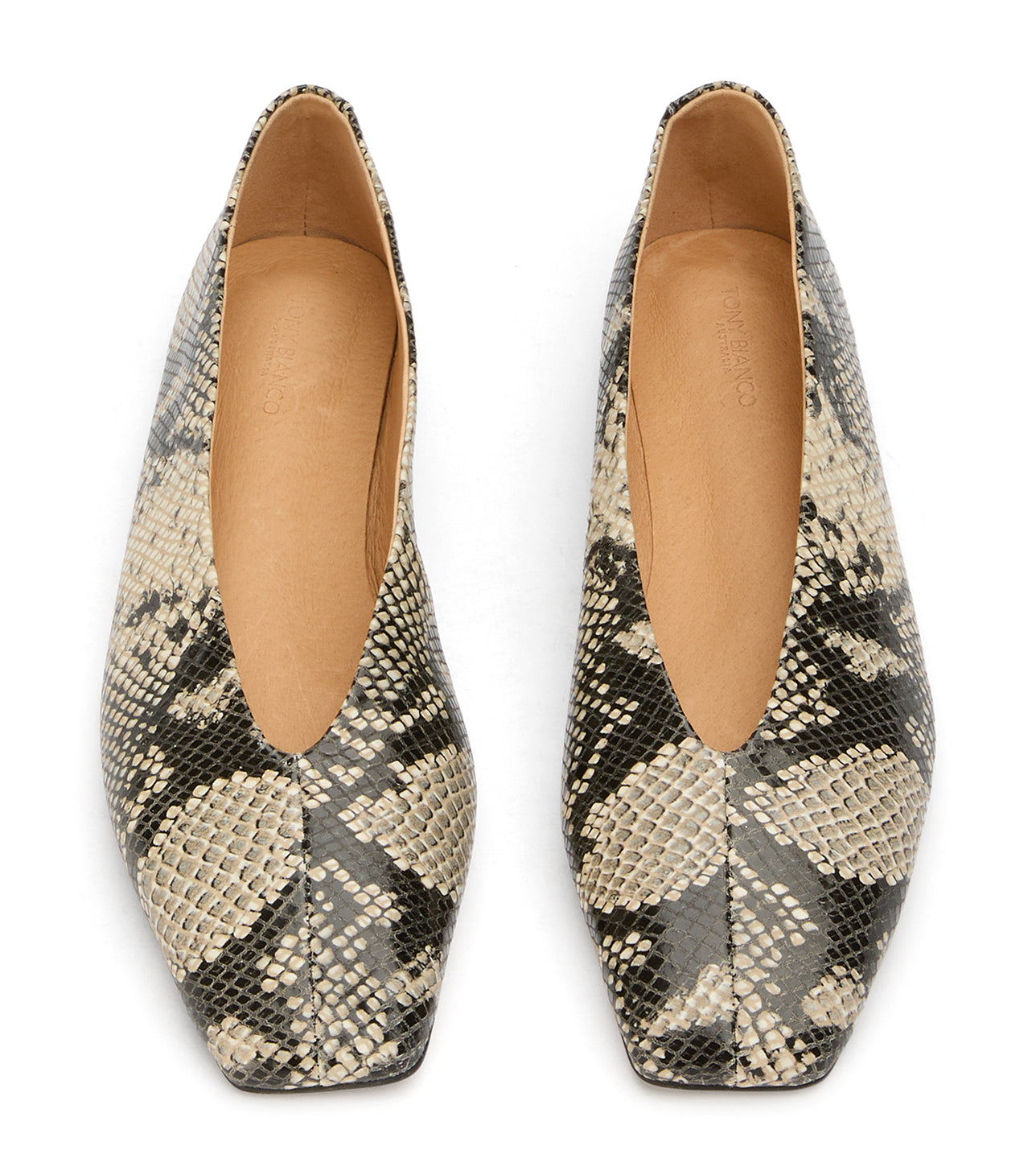 New Arrivals Tony Bianco Brash Ecru Snake