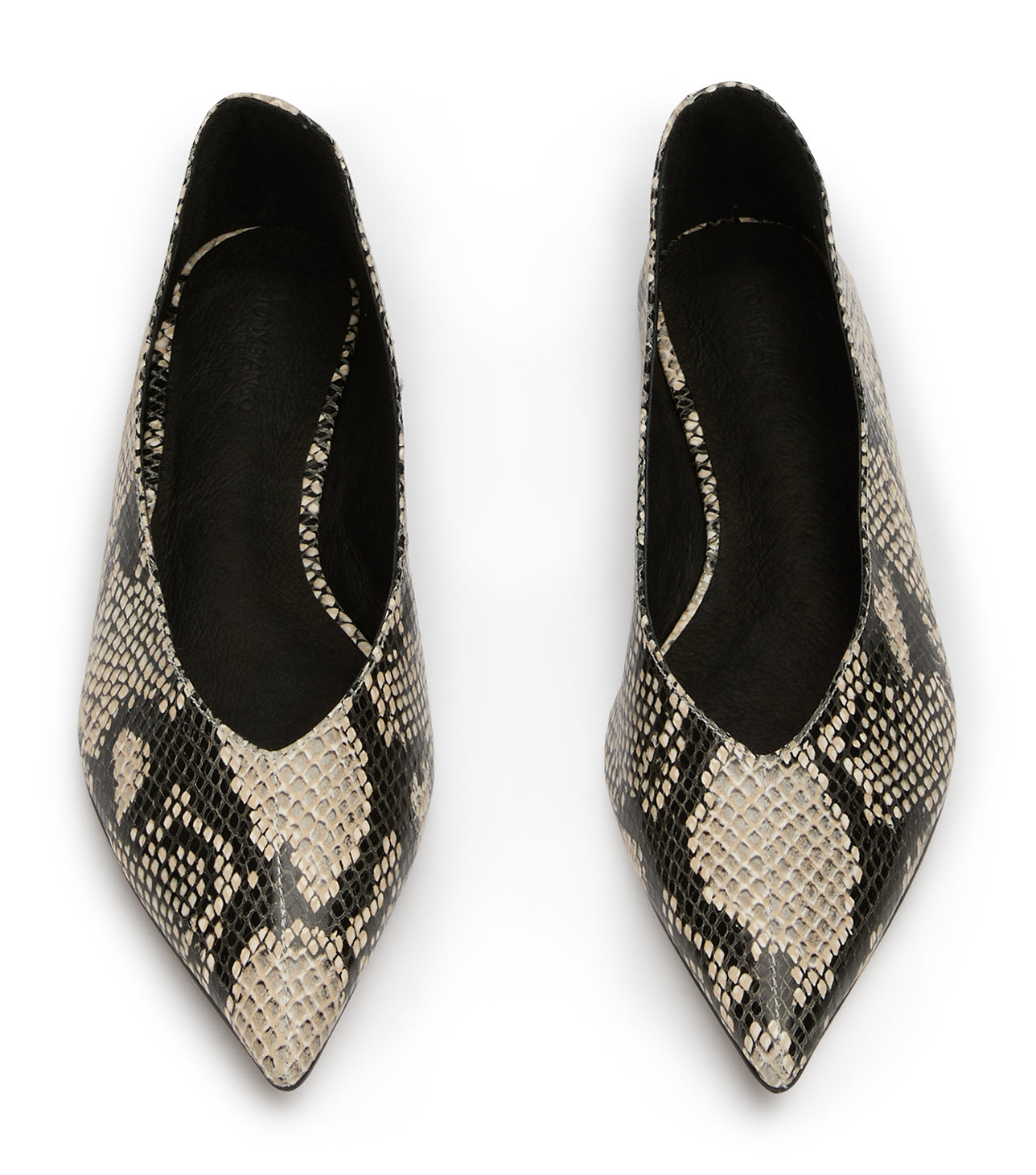 New Arrivals Tony Bianco Joop Ecru Snake Flats