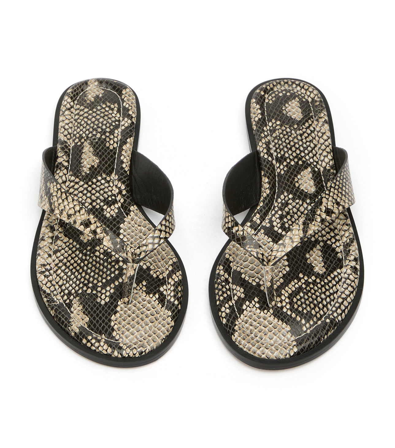 New Arrivals|Flats Tony Bianco Sahara Ecru Snake