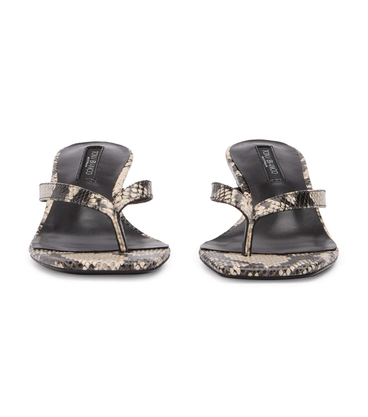 New Arrivals|Heels Tony Bianco Topaz Ecru Snake