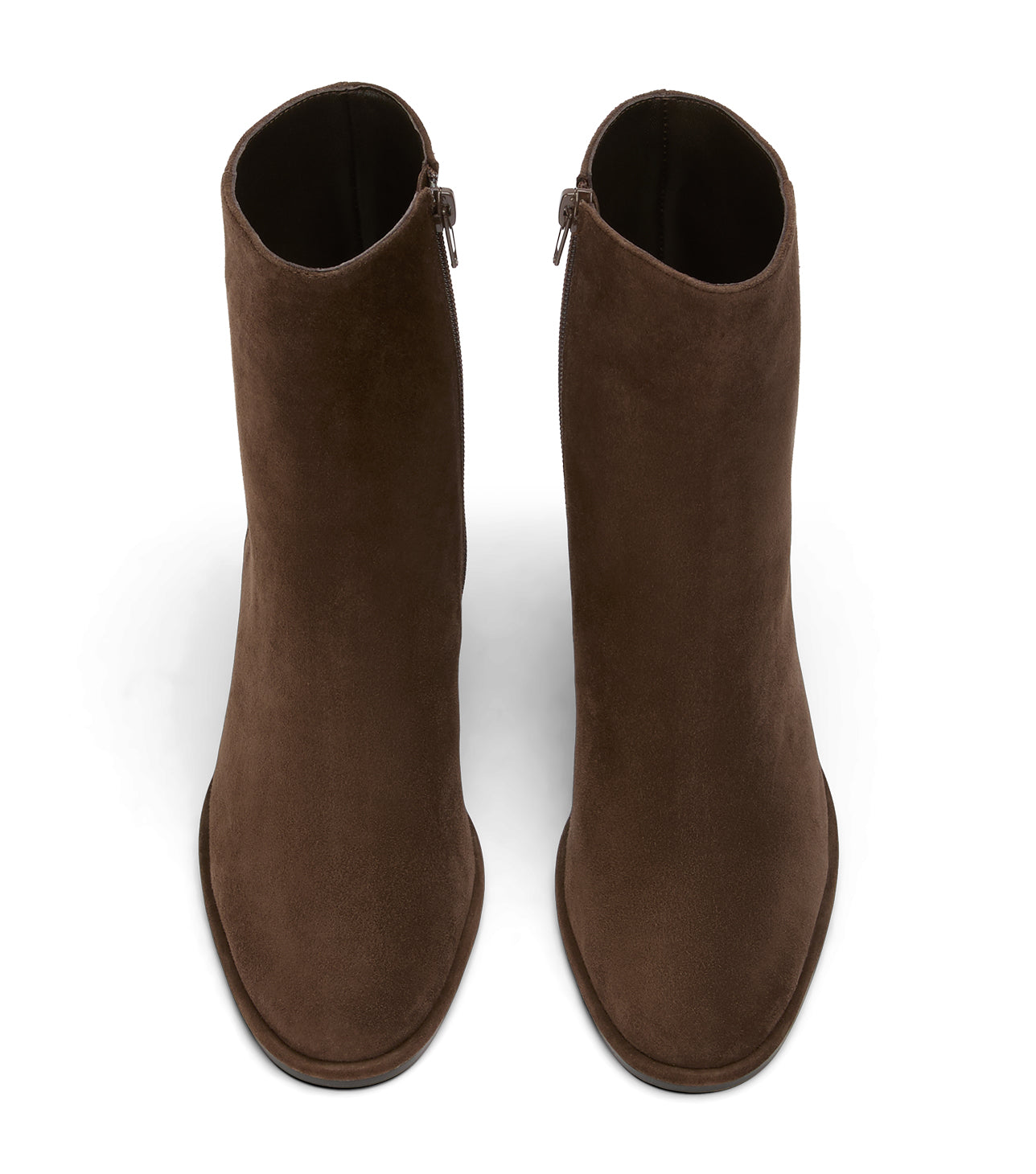 New Arrivals Tony Bianco Gemma Espresso Suede