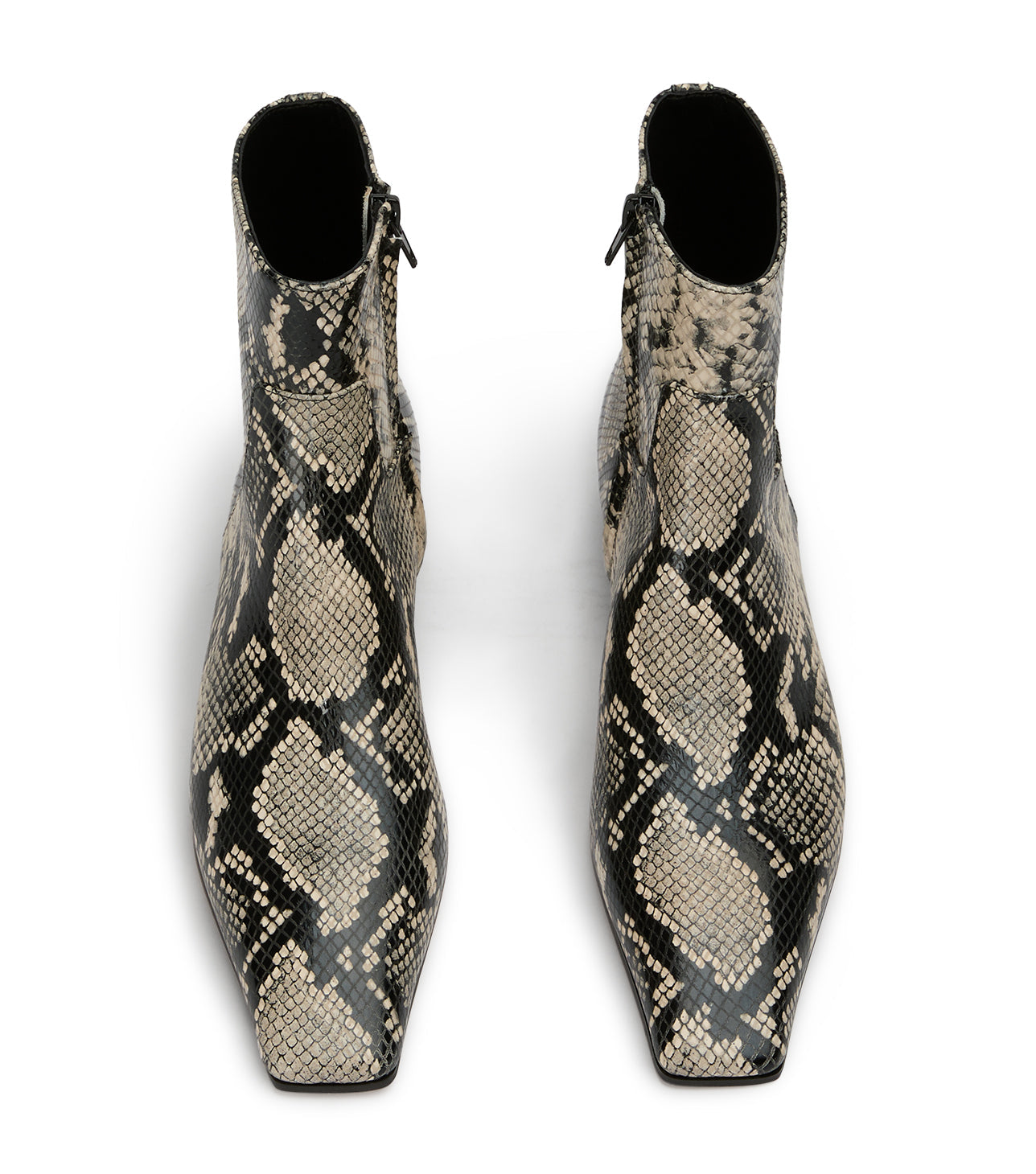 New Arrivals Tony Bianco Rupert Ecru Snake Ankle Boots