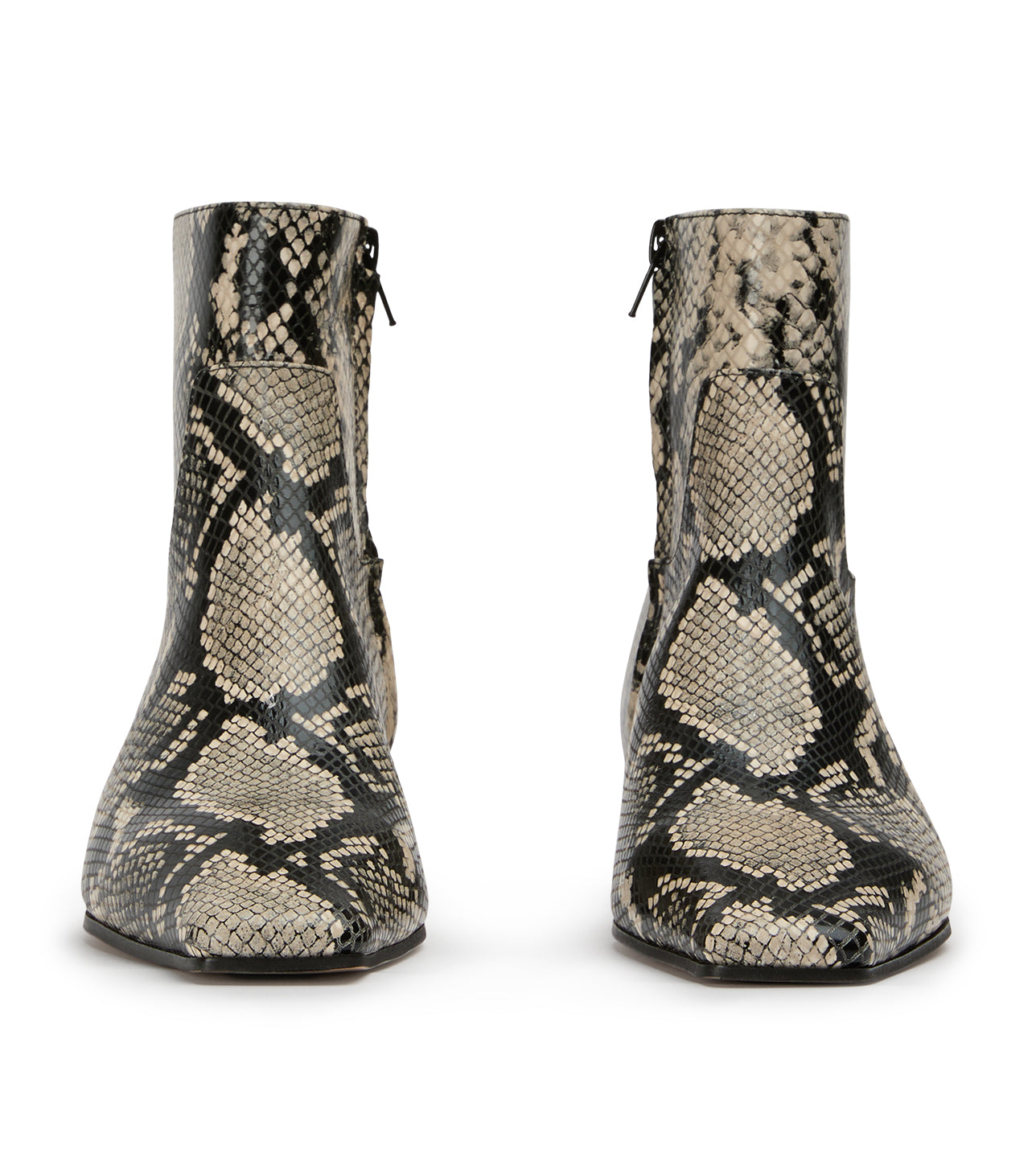 New Arrivals Tony Bianco Rupert Ecru Snake Ankle Boots