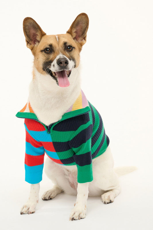 STAUD Pet Hampton Sweater - Cabana Stripe Multi