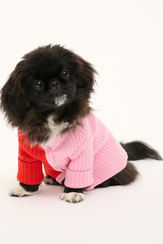 STAUD Pet Shoko Sweater - Poppy Rosebud