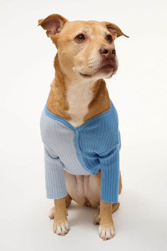 STAUD Pet Shoko Sweater - Periwinkle Multi